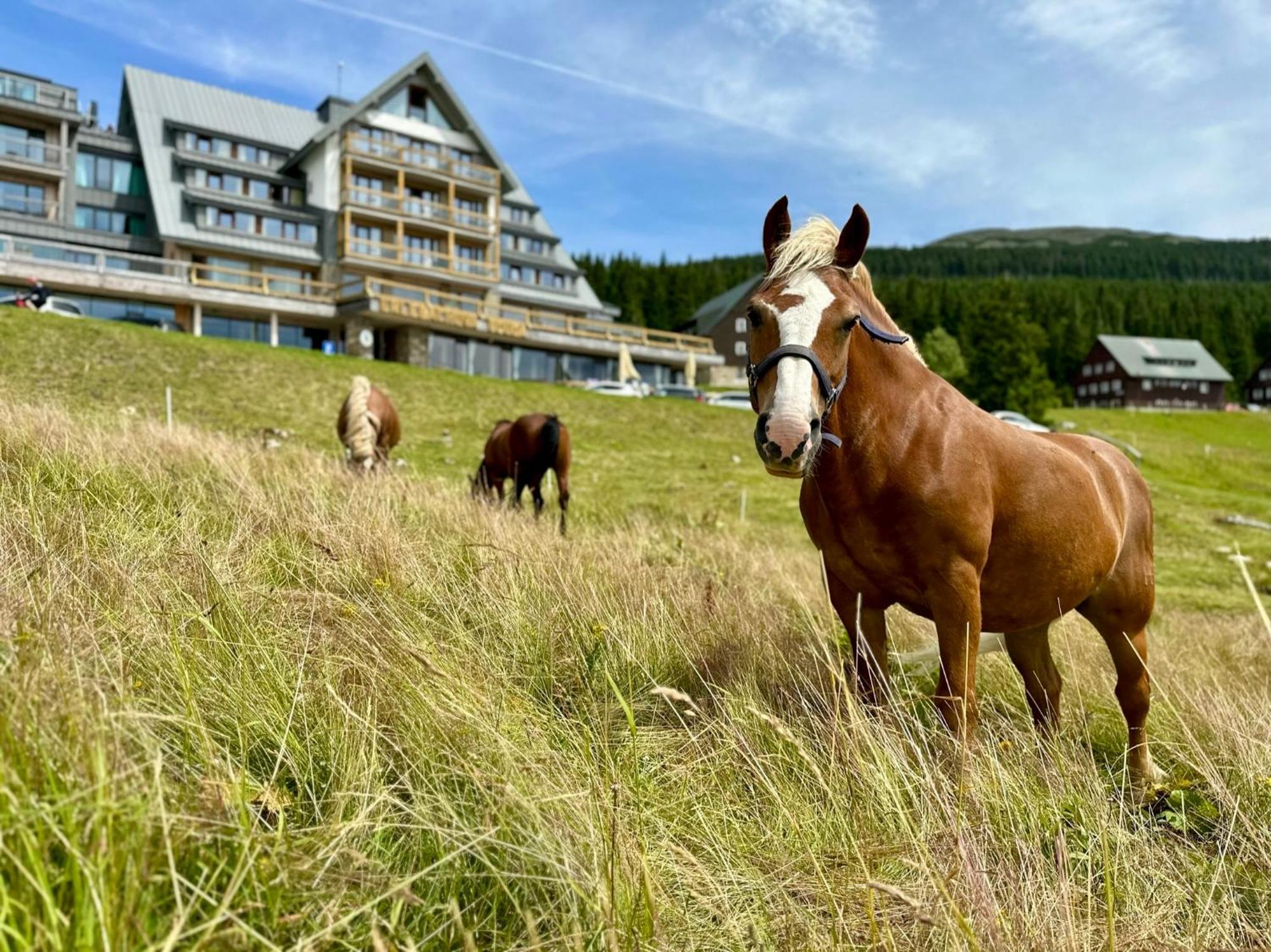 Erlebachova Bouda, Hotel - Resort Svaty Frantisek Špindlerŭv Mlýn 외부 사진